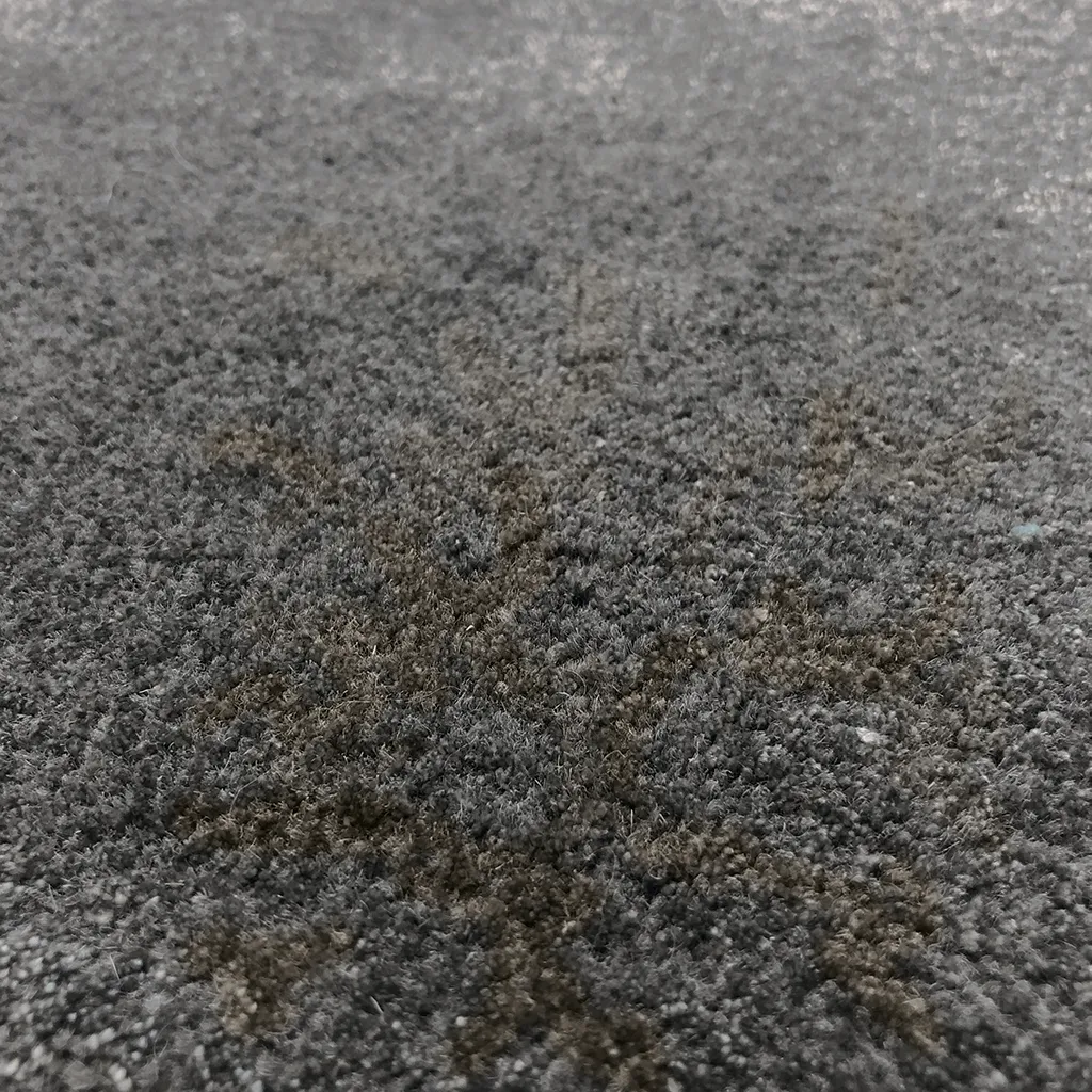 Harmony Grey